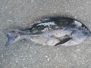 DSC_0074.JPG