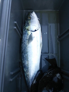 DSC_0012.JPG