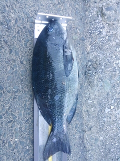 DSC_0017.JPG