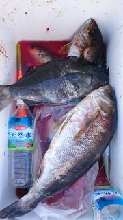 DSC_0014.JPG