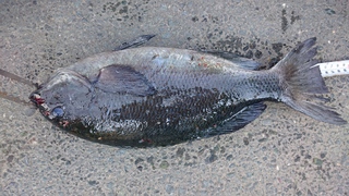 DSC_0006.JPG