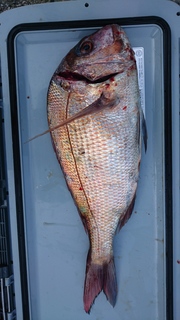 DSC_0028.JPG