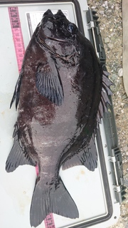 DSC_0042.JPG