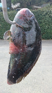 DSC_0049.JPG