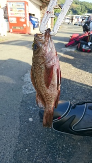 DSC_0095.JPG