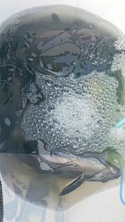 DSC_0152.JPG