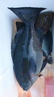 DSC_0159.JPG