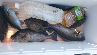 DSC_0166.JPG