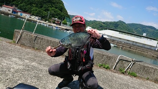 DSC_0162.JPG