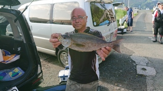 DSC_0173.JPG