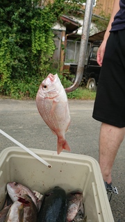 DSC_0182.JPG