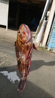 DSC_0243.JPG