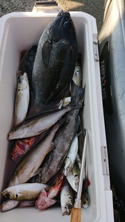 DSC_0278.JPG