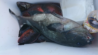 DSC_0283.JPG