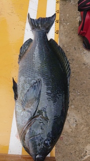 DSC_0308.JPG