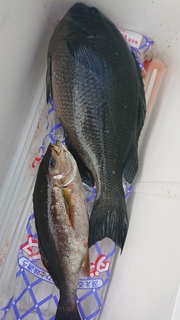 DSC_0302.JPG