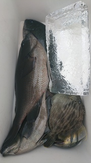 DSC_0300.JPG