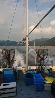 DSC_0361.JPG
