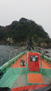 DSC_0398.JPG