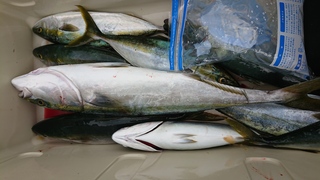DSC_0407.JPG