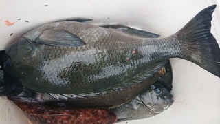 DSC_0411.JPG