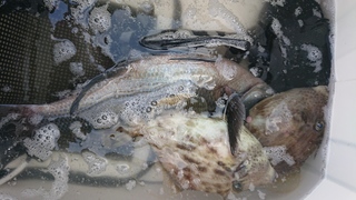 DSC_0410.JPG