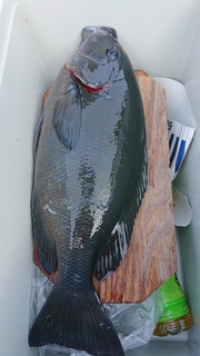 DSC_0413.JPG