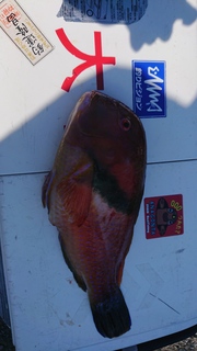 DSC_0469.JPG