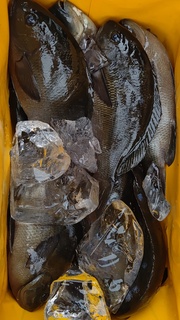 DSC_0014.JPG