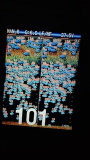 HORIZON_0001_BURST20200718214555770_COVER.JPG