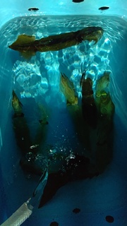DSC_0023.JPG