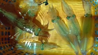 DSC_0024.JPG