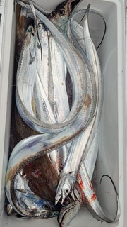 DSC_0420.JPG