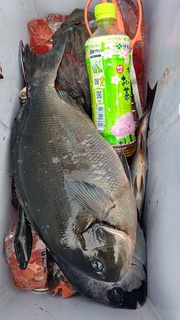 DSC_0665.JPG