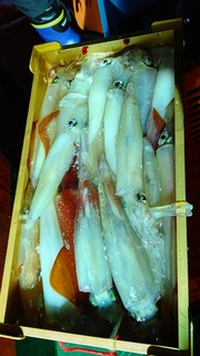 DSC_0847.JPG