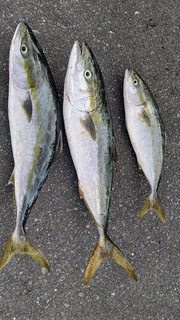 DSC_1118.JPG