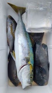 DSC_1121.JPG