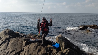 DSC_1243.JPG