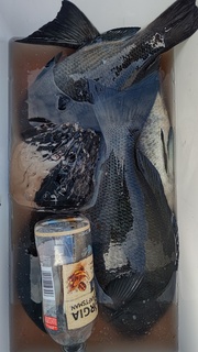 DSC_1256.JPG