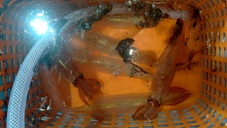DSC_1428.JPG