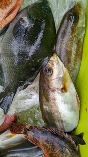 DSC_1702.JPG