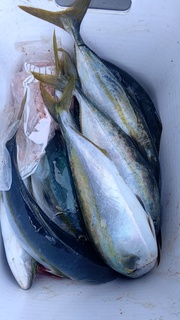 DSC_1774.JPG