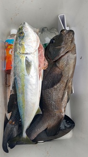 DSC_1863.JPG