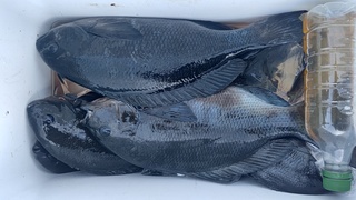 DSC_1924.JPG