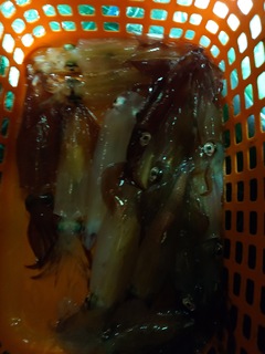 20240722_230546.JPG