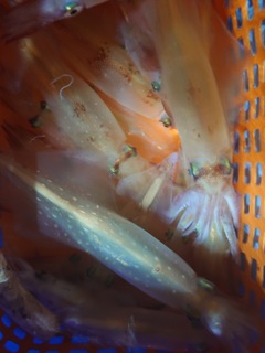20240810_232856.JPG