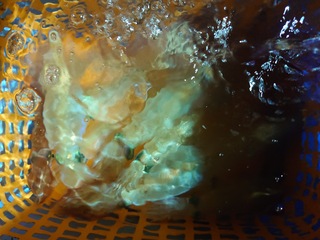 20240811_230707.JPG