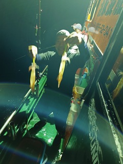 20240913_213437.JPG