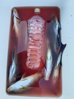 20241124_150011.JPG